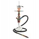 CHICHA CELESTE CRAZY