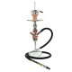 CHICHA CELESTE CRAZY