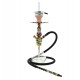 CHICHA CELESTE CRAZY