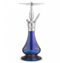 CHICHA DSCHINNI CLYDE