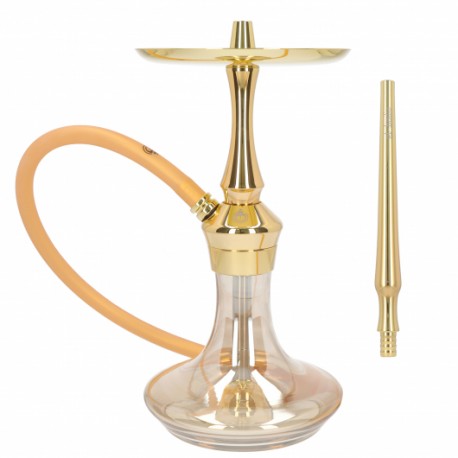 CHICHA EL-BADIA Z1 GOLD